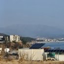 월포농장 이미지