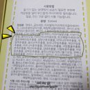 꼬맹이화장품
