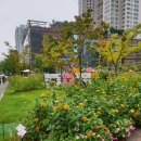 씨유 영등포꽃밭정원점 | (10/10) 비오는 날 영등포구 문래동 꽃밭정원 방문후기