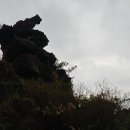 위미1리 이미지