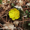 마중생태 이미지