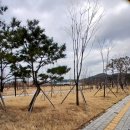 대동휴게식당 이미지