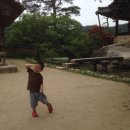 닭실민박 | 문경봉화울진여행 | 울진아쿠아리움 | 문경석탄박물관| 죽변항 대게