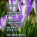 금.란 네이버블로그