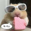 전대로78번길 이미지