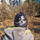 라온카센터 이미지