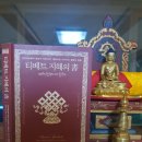 [세첸코리아 책읽기 모임]『티베트 지혜의 서』_수행길의 선한벗, 스승께 감사드리며 이미지