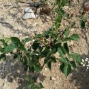 자연슈퍼 이미지