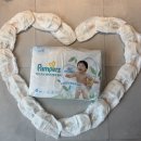 (주)소프트맥스 | 아기랑 여름 나기 준비, 팸퍼스 2026 터치 오브 네이처 썸머팬티