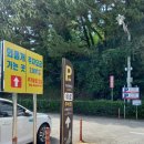 제주특별자치도 지체장애인협회 서귀포시지회 | 스노쿨링, 바다수영의 천국, 황우지해안 선녀탕 그리고 열두 굴, 그리고 외돌개 (선녀탕 유래,주차장 꿀팁)