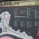 자연과호수 | 경수의자연과공존 시흥시 가볼만한곳 물왕리 호수 트레킹 후기