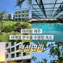 펜션연리 | 제주도 서귀포 사계절 온수풀 수영이 가능한 숙소추천ㅣ펜션연리 내돈내산 후기