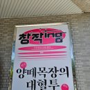 신진목장 | [국립정동극장 세실] 연극 <양떼목장의 대혈투> 관극 후기 : 길들여짐과 자유, 그리고 저항에 대하여...