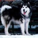 안녕하세요 이미지