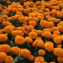 이승농장 이미지