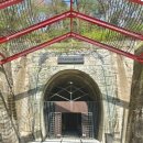 문경 오미자테마터널 이미지