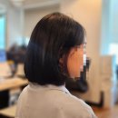 자르다헤어호수점건만원장 | 의식의 흐름따라 잠실 1인 미용실 환영미장원에서 일자단발 한 내돈내잘 후기