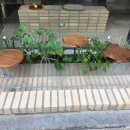 약초원한약국 이미지