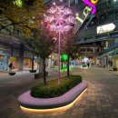 라페스타 이미지