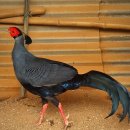 자명농장 이미지