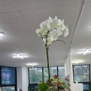 아인결혼정보 이미지