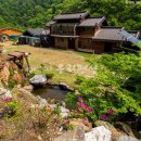 삼촌네펜션 - 양평군 서능로 146-12 | 삼촌네펜션