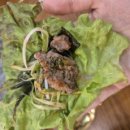 우소참숯화로구이 덕이점 이미지