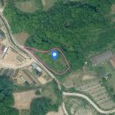 옥천랜드공인중개사사무소 이미지