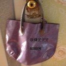 구제짱 이미지
