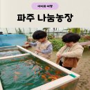 배식농장 | 파주 아기랑 갈만한곳 나눔농장에서 동물 먹이주기 체험