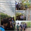 점수농장 이미지