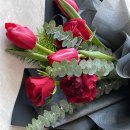 타티아르 이미지