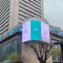 크로스경영연구소 | 2026 상반기 하나은행 신입행원 [서류 + 필기 + 1차 실무진 면접 합격 후기]