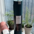 이브닝 스트레칭 요가 | 임산부 홈트 추천 | 멜킨 바드라 요가매트 폼롤러 사용후기 (30주 붓기 관리)