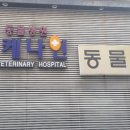 케나인동물병원 네이버블로그