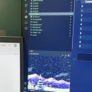 브이에스힐링 이미지