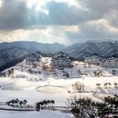 대명 인터내셔널 이미지