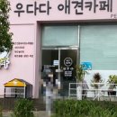 우다다 유치원 이미지