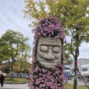 해남군청 Daum카페