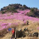 대금산진달래길(등산) 이미지