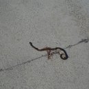 용담댐소수력발전소 이미지