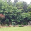 웅석봉로 이미지