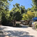 서울대공원 캠핑장 이미지