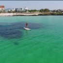 비치민박 이미지