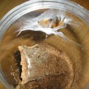 중동역(1호선) 이미지