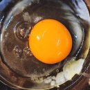 소소원 | 구쁘 소소원 계란 정기배송 후기 무항생제계란 동물복지계란 난각번호1번 완벽 정리