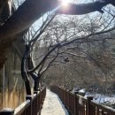 올림픽밸리 이미지