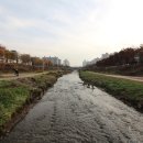 송호공인중개사사무소 이미지