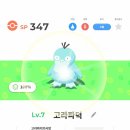 리오르