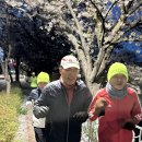 북부천변 이미지